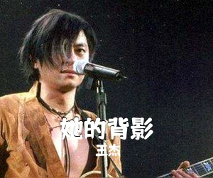 王杰《她的背影吉他谱》(G调)