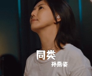 孙燕姿《同类吉他谱》(D调)