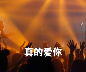 《真的爱你吉他谱》(C调)