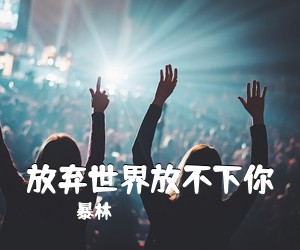 暴林《放弃世界放不下你简谱》
