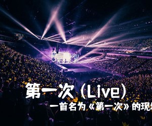 一首名为《第一次》的现场版《第一次 (Live)吉他谱》(D调)