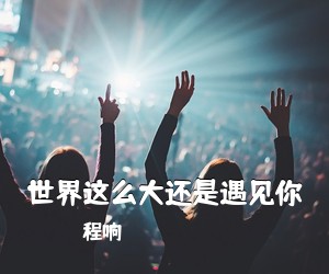 程响《世界这么大还是遇见你吉他谱》(C调)