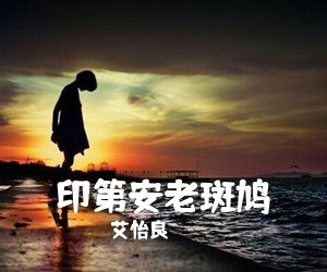 艾怡良《印第安老斑鸠吉他谱》