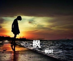 枫叶《枫吉他谱》(G调)