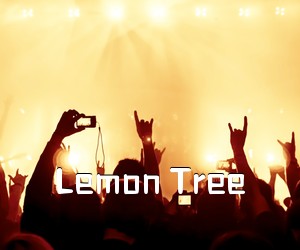 《Lemon Tree吉他谱》(G调)