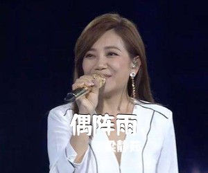 梁静茹《偶阵雨吉他谱》(C调)