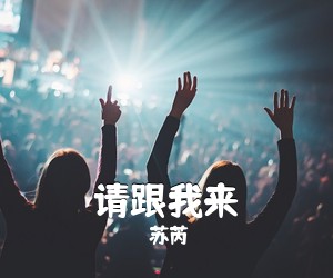 苏芮《请跟我来吉他谱》(G调)