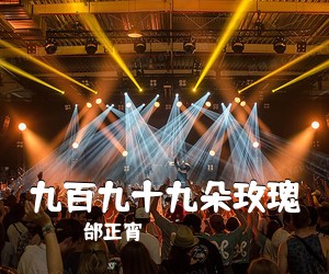 邰正宵《九百九十九朵玫瑰吉他谱》(G调)