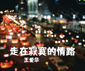 王爱华《走在寂寞的情路简谱》