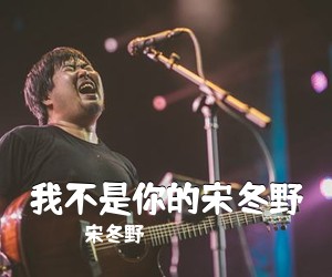 宋冬野《我不是你的宋冬野吉他谱》(C调)