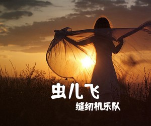 缝纫机乐队《虫儿飞吉他谱》