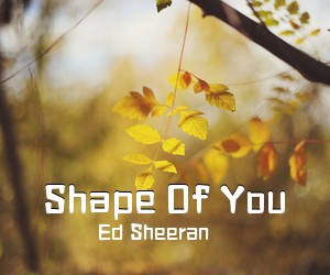 Ed Sheeran《Shape Of You吉他谱》