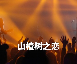 《山楂树之恋吉他谱》(G调)