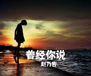 赵乃吉《曾经你说吉他谱》(C调)