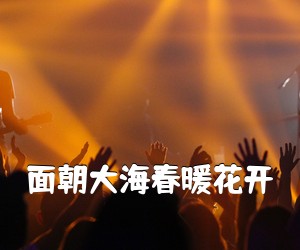 《面朝大海春暖花开吉他谱》(C调)