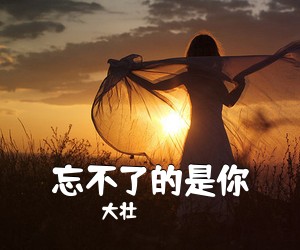 大壮《忘不了的是你吉他谱》(G调)