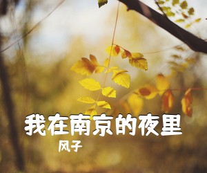 风子《我在南京的夜里吉他谱》(C调)