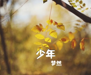 梦然《少年吉他谱》(C调)