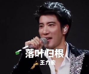 王力宏《落叶归根吉他谱》(G调)