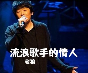 老狼《流浪歌手的情人吉他谱》(G调)