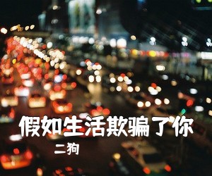 二狗《假如生活欺骗了你吉他谱》(G调)