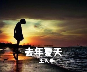 王大毛《去年夏天吉他谱》