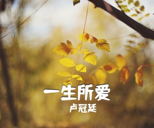 卢冠廷《一生所爱吉他谱》(G调)