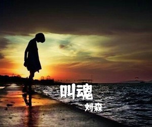 刘森《叫魂吉他谱》(F调)