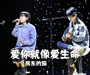 房东的猫《爱你就像爱生命吉他谱》