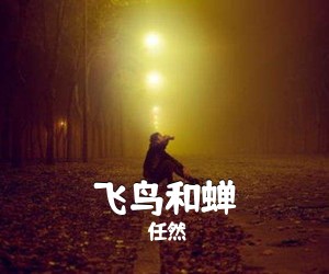 任然《飞鸟和蝉吉他谱》(C调)