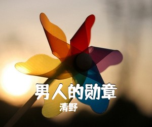 清野《男人的勋章吉他谱》(G调)
