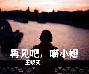 王晓天《再见吧，喵**吉他谱》