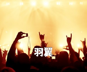 《羽翼吉他谱》(C调)
