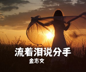 金志文《流着泪说分手吉他谱》(C调)