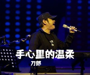 刀郎《手心里的温柔吉他谱》(F调)