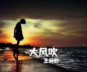 王赫野《大风吹吉他谱》(G调)