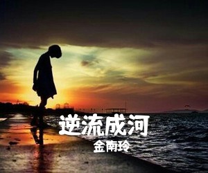 金南玲《逆流成河吉他谱》(C调)