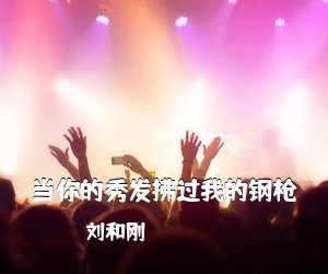 刘和刚《当你的秀发拂过我的钢枪简谱》