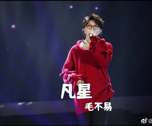 毛不易《凡星吉他谱》(D调)