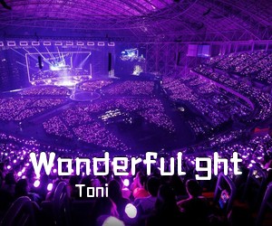 Toni《Wonderful ght吉他谱》(G调)