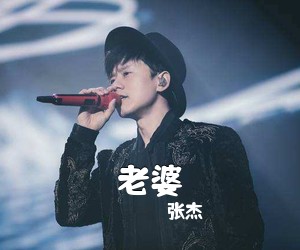 张杰《老婆吉他谱》(G调)