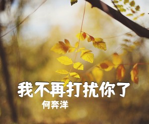 何奔洋《我不再打扰你了吉他谱》(C调)
