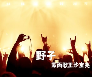 蒙面歌王沙宝亮《野子吉他谱》(C调)