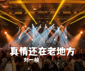 赵中晨《我思念的兄弟简谱》