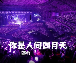 邵帅《你是人间四月天吉他谱》(G调)