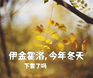 下雪了吗《伊金霍洛,今年冬天吉他谱》