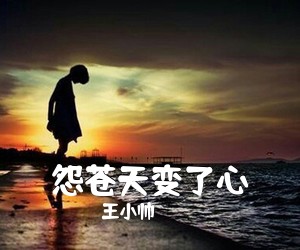 王小帅《怨苍天变了心吉他谱》(G调)