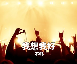 不够《我想我好吉他谱》(G调)