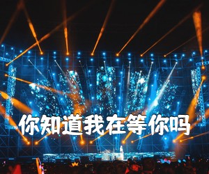《你知道我在等你吗吉他谱》