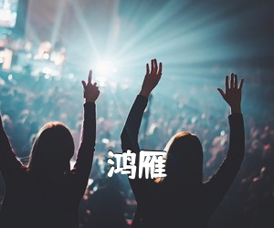 《鸿雁吉他谱》(G调)